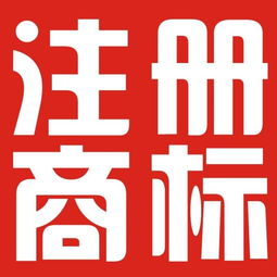 臨沂企業(yè)一站式知識(shí)產(chǎn)權(quán)服務(wù) 公司注冊(cè)、商標(biāo)、專利與版權(quán)保護(hù)全攻略